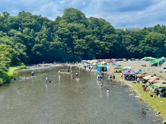 「楽しめます、手軽です、ほぼタダです、思い出に残ります」←こういうレジャー