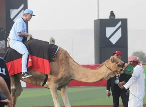 【野球】中東初のプロ野球リーグが描く奇想天外な新たな野球　ラクダで入場、マネーボール、ファイアーボール...