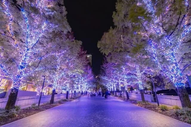 暑いのと寒いのどっちが嫌だ？