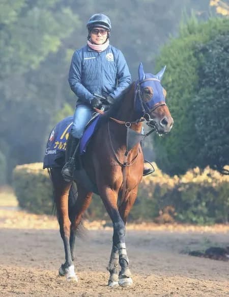 【チャンピオンズC】 ナルカミは中京に嫌な思い出があるかもしれん