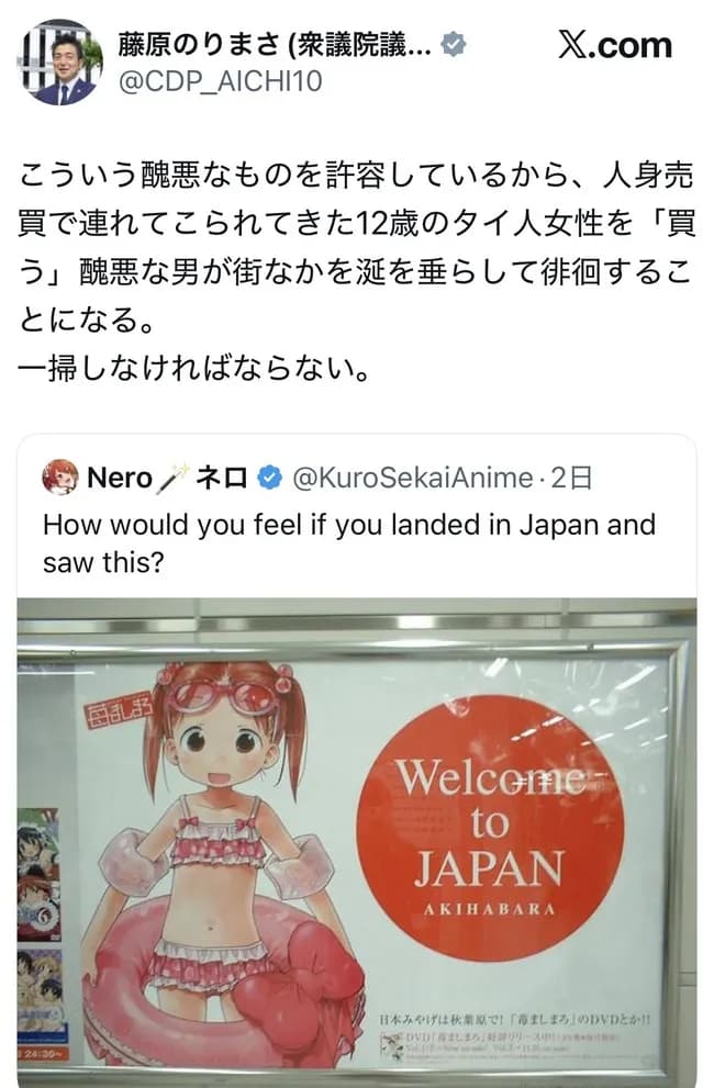 立憲議員、20年前の秋葉原のポスターを持ち出してアニメ叩きを始めるｗｗｗｗｗｗｗ