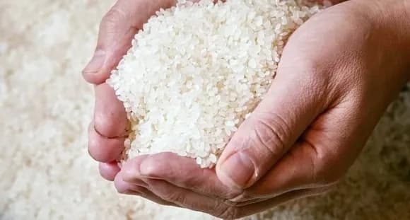 【悲報】米卸「高値で集めたのに誰も買わん！国が買い取れや！！」