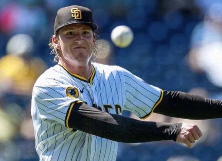 160キロ大型右腕レイノルズ横浜獲得に対する阪神ファンの感想がこちら