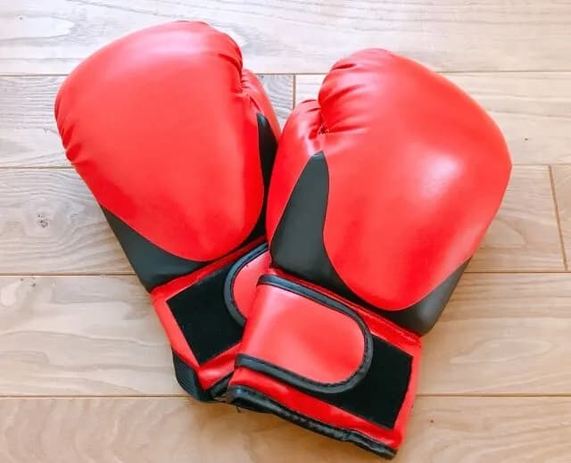 【悲報】ボクシングの団体、多すぎる