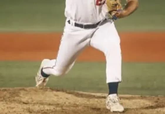 めぼしい外国人リリーフって残ってるんか？ハートウィグ系はごめんやで