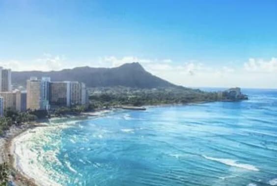 阪神ファン『デュプがハワイ旅行に来たらさすがに頭のネジ取れててビビる』