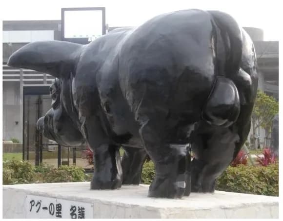 【悲報】沖縄市議「イヤアアアアア！！国道沿いのアグー豚像にタマタマが付いてるのおおお！！」