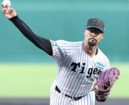 まあ、デュプに関しては阪神とソフバンはスペを問題視してたってことやろ