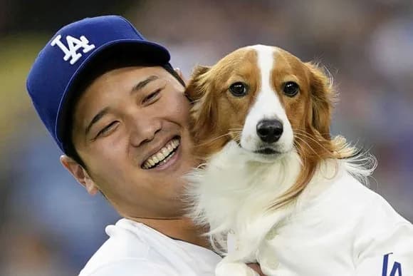 【驚報】大谷翔平の人生目標シートがすごいｗｗｗｗｗｗｗｗ