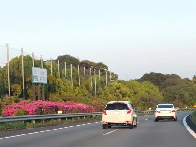 たまに車線変更する時サイドミラーしか確認しない時あるわ