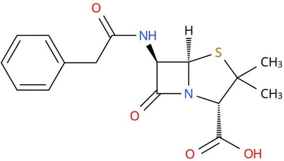 【悲報】ペニシリンがない戦国時代の戦ｗｗｗｗｗｗｗｗｗｗｗｗｗｗｗｗ