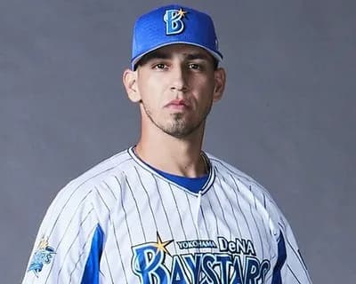 2000年以降でベイスターズが獲得した外国人で国内移籍した選手一覧