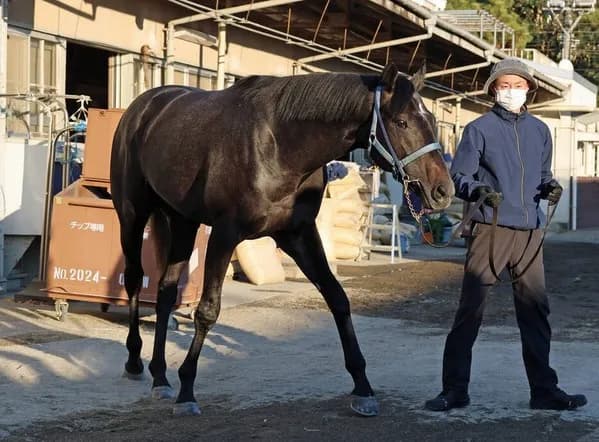 【朝日杯FS】 リアライズシリウスの単勝に1000万円級の大口投票　前売り1番人気に