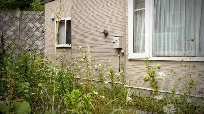 40代男性「タワマンに戻りたい…」子どもの為に郊外に一軒家を構えて激しく後悔