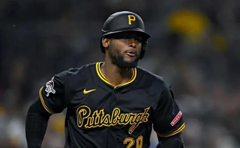 西武、ブリブリ大砲カナリオ獲得発表！