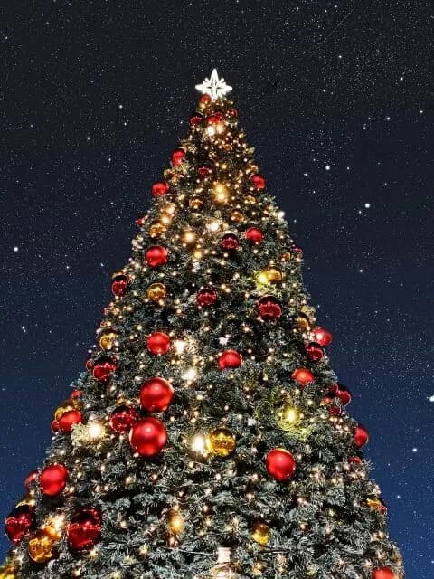 クリスマスイブなのに何してるの？