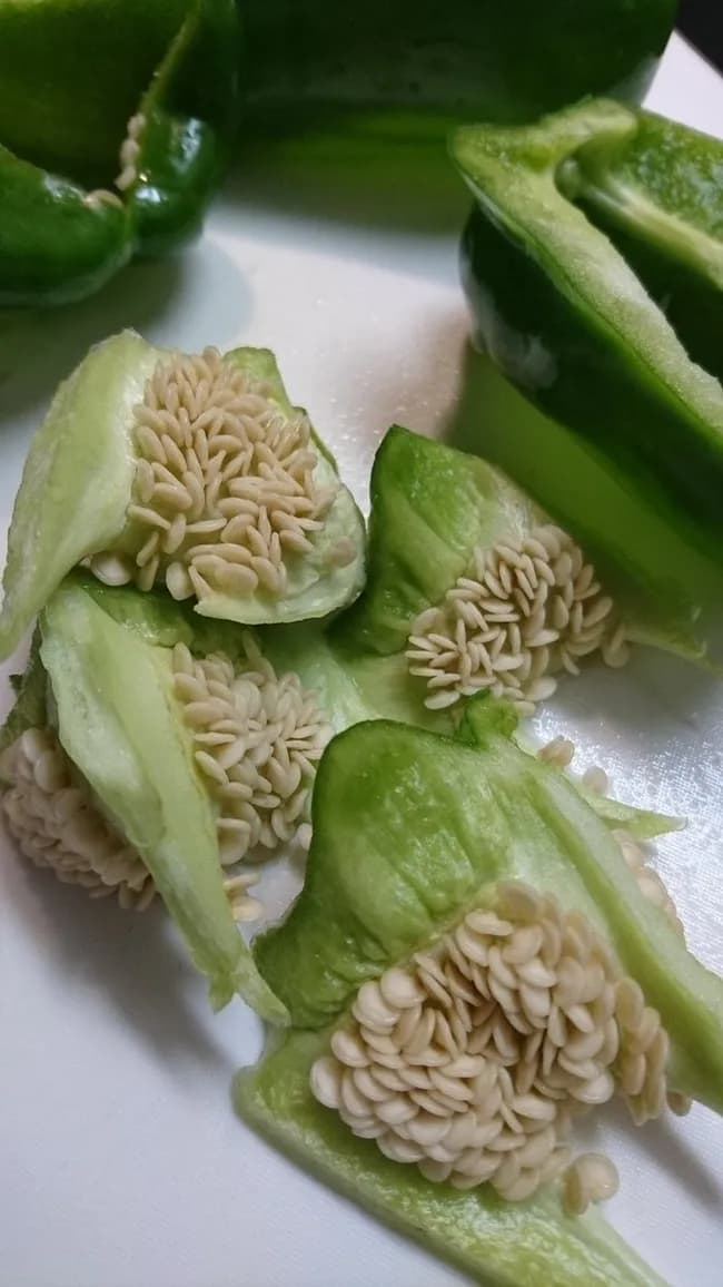 【画像】ピーマンの種、気持ち悪すぎる