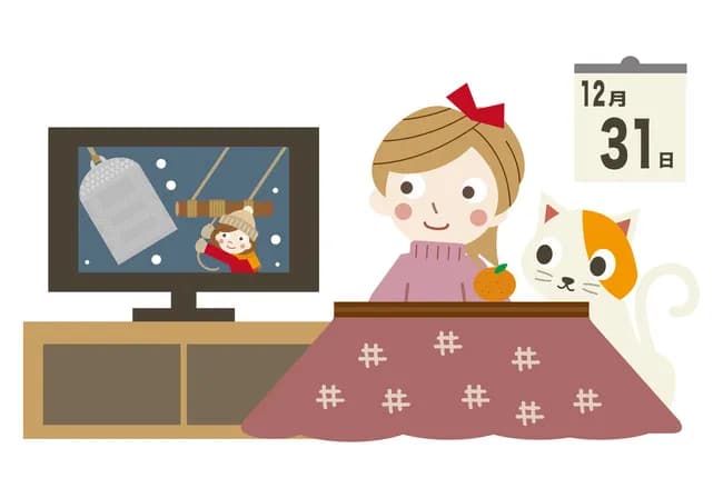 大晦日のテレビ番組、頭おかしい