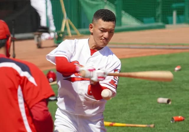 カープファン「矢野はアヘ単ではなく長打を増やした方がいいのでは？」