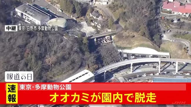 多摩動物公園でオオカミ脱走