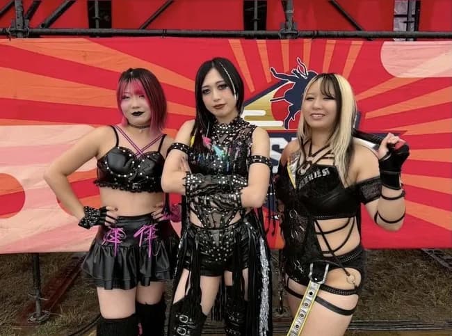 【画像】最近の女子プロレスの悪者軍団、なんかちょうどいいと話題に！