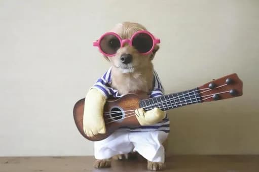 【急募】36歳無職のワイがこっからロックスターになって人生逆転する方法ｗｗｗｗｗｗｗｗｗｗｗｗｗｗｗｗ