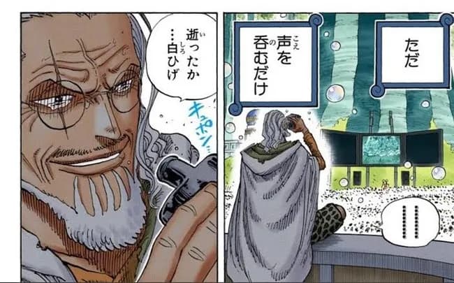 レイリーとギャバン「ロジャーの息子が公開処刑される！？まぁええか(無関心)」