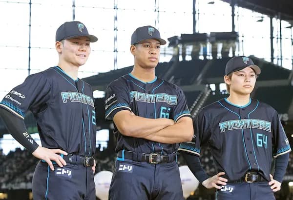 今年のハムって日本一いけそうだよな