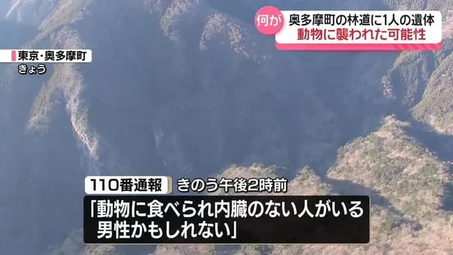 「動物に食べられ内臓のない人がいる」林道に1人の遺体 東京・奥多摩町