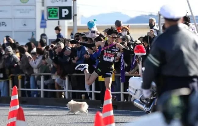 【画像】箱根駅伝に犬が乱入