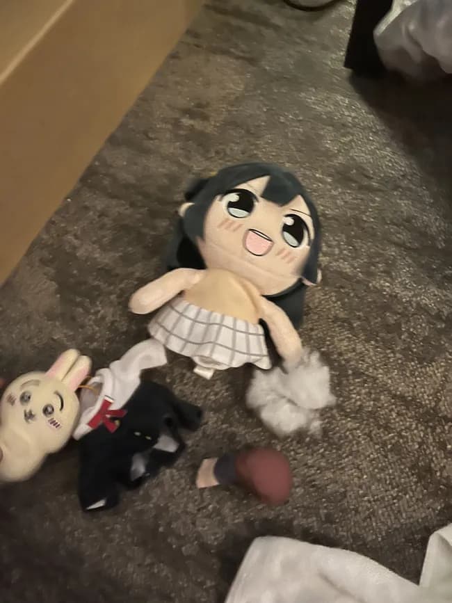 【悲報】楠木ともり結婚に脳を焼かれたオタクさん、優木せつ菜のぬいぐるみで暖を取る