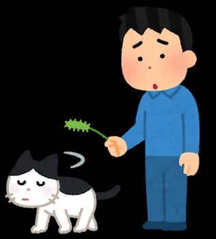 【悲報】捕まえた野良猫、ワイに懐かない……