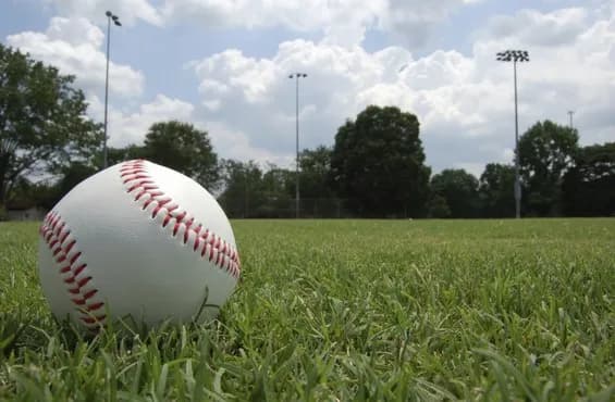 中国が野球に投資しまくってMLBと肩を並べるリーグに成長する可能性