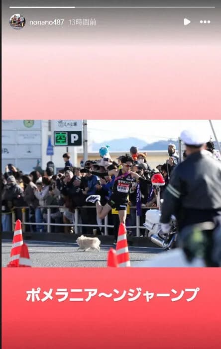 【箱根駅伝】コース上に犬が乱入　選手の走行を妨害し波紋「本当に危険」「マナーしっかり守って」　ポメラニアン？