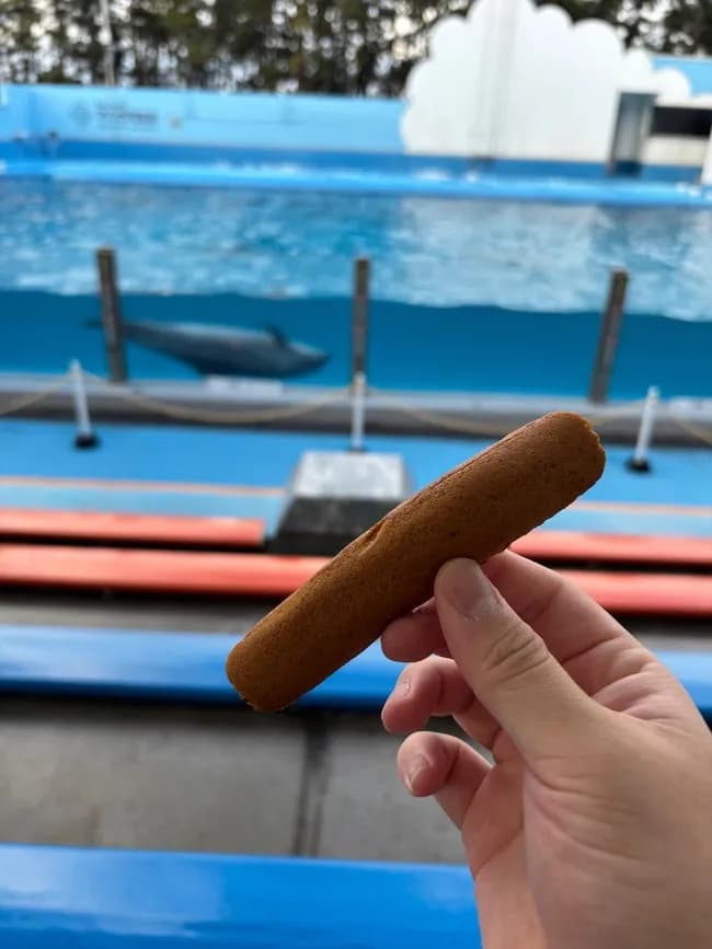 正月の定番の「これ」、なんと呼ぶか意見が分かれる