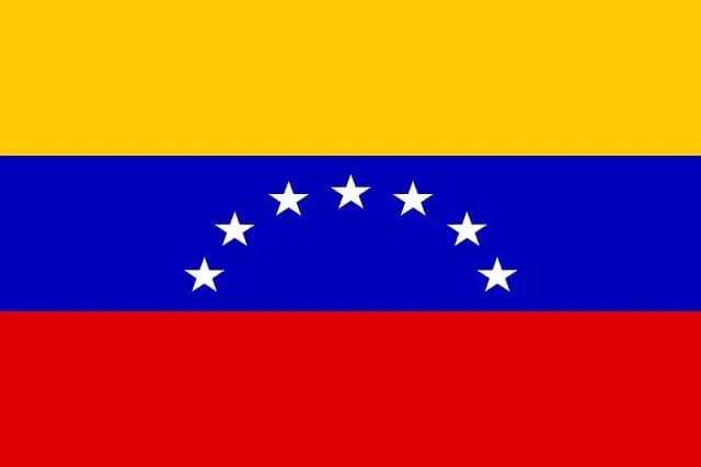 ベネズエラ旧政権擁護してるの揃いも揃って実質独裁国家なの草