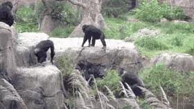 月曜から元気の出るgifください