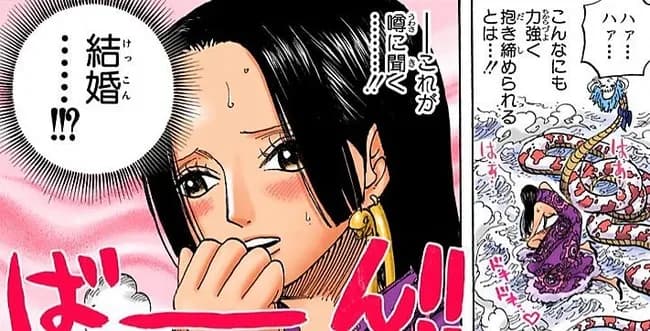 ワンピースのボア・ハンコック(31)「ルフィ(19)と結婚したい」←これ