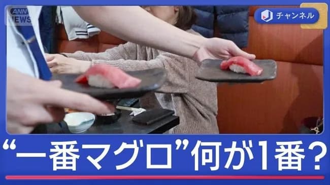 【悲報】一番マグロ5億円　二番マグロ275万円