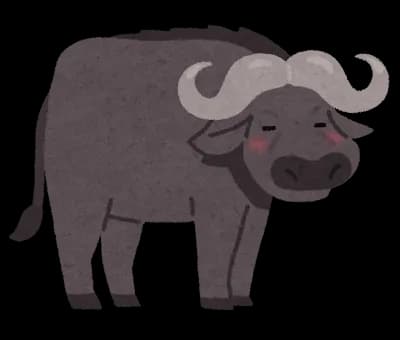 【画像】バッファローマンのロングホーンで作った骨ｗｗｗｗｗｗｗｗｗｗｗｗｗｗｗｗｗｗ