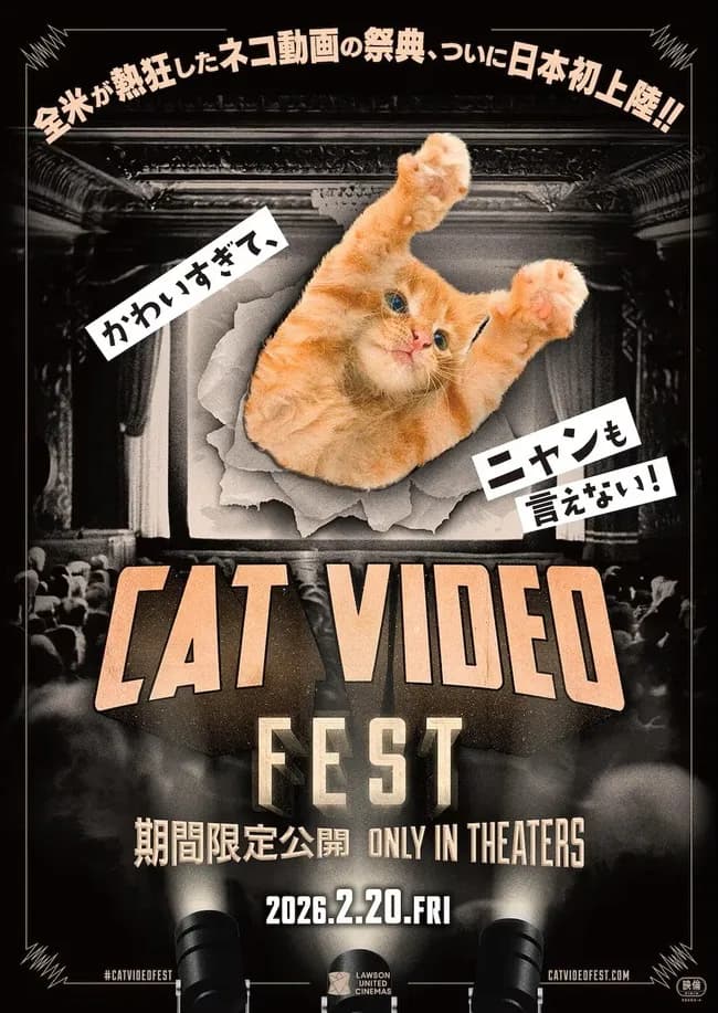 ネコ動画を映画館で楽しむ祭典「CatVideoFest」日本での初公開が決定