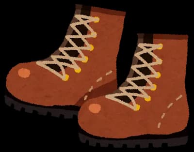 レッドウィング買った！すごく高かった！