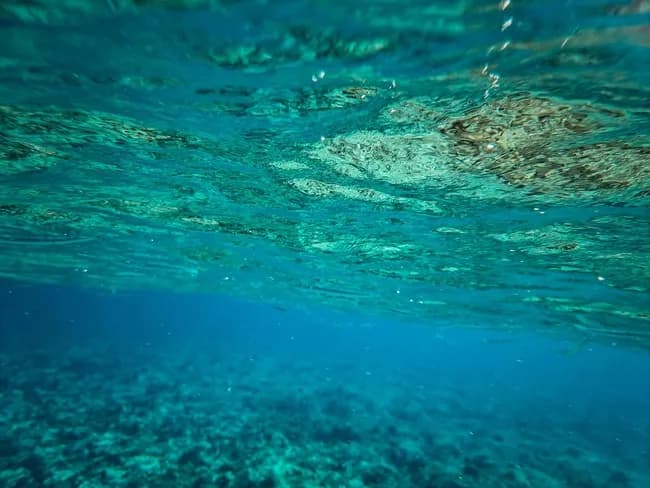 中国人「レアアースで重要なのは精錬技術！匠の精神でどうにかするんですか？」