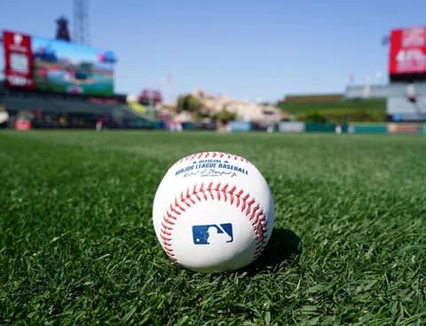 米紙、ネットフリックスのWBC独占放送について「感動はタダじゃない、日本は現実を受け入れなければならない」