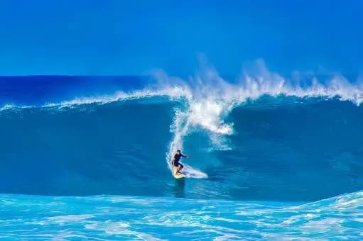 【急募】強者男性99%のコンテンツ←何想像した？ｗｗｗｗｗｗｗｗｗｗｗｗｗｗｗｗ