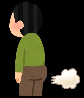 【朗報】お昼にハンバーガーを食べたワイちゃん（28ちゃい）の屁が臭すぎる