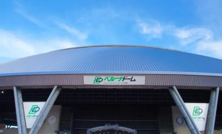 西武ファンの女の子「楽しかった」「たまに勝つところ」