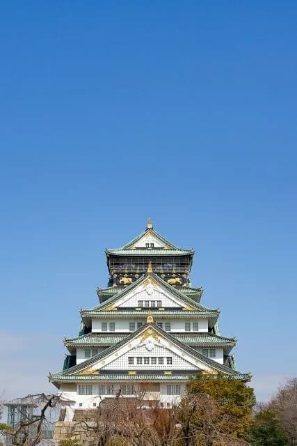 豊臣時代の存続期間（8年）