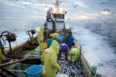 【悲報】10年ぐらい前鬱病で仕事辞めてニートしてて親がうるさいから遠洋漁業の船乗った