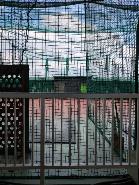 バッティングセンターにキャッチャーミット持って行ってキャッチャーの練習したらどうなる？